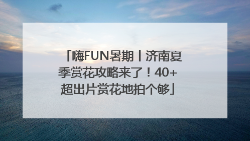 嗨FUN暑期丨济南夏季赏花攻略来了！40+超出片赏花地拍个够